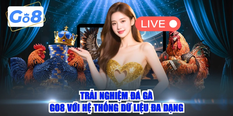 Trải nghiệm đá gà GO8 với hệ thống dữ liệu đa dạng